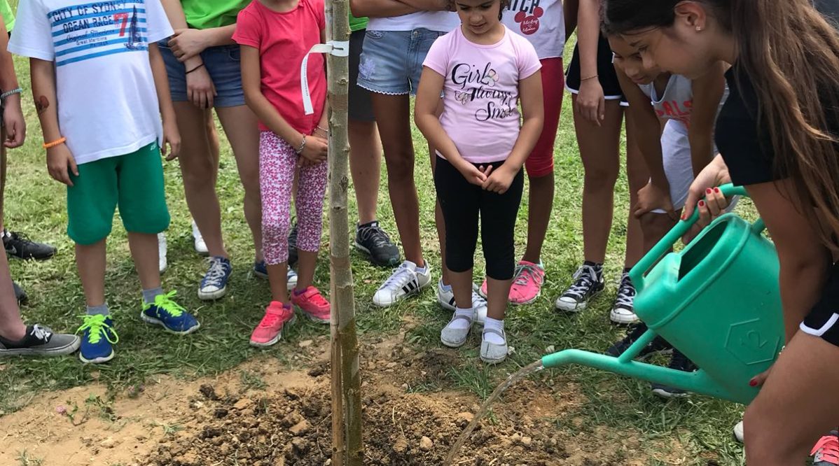 IMG-20180619-WA0017 1