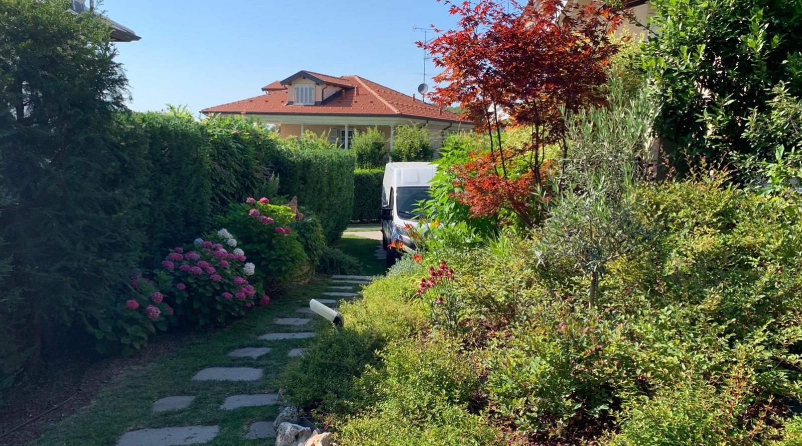 Manutenzione del verde e progettazione giardini Manutenzione del verde e progettazione giardini - Alessandria e provincia