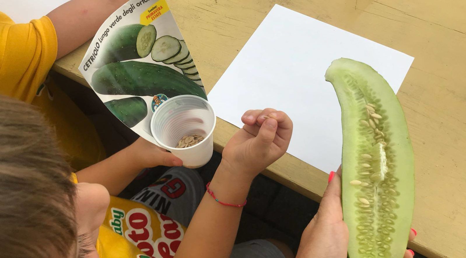 69896750_2378413702206084_7308167504486989824_o