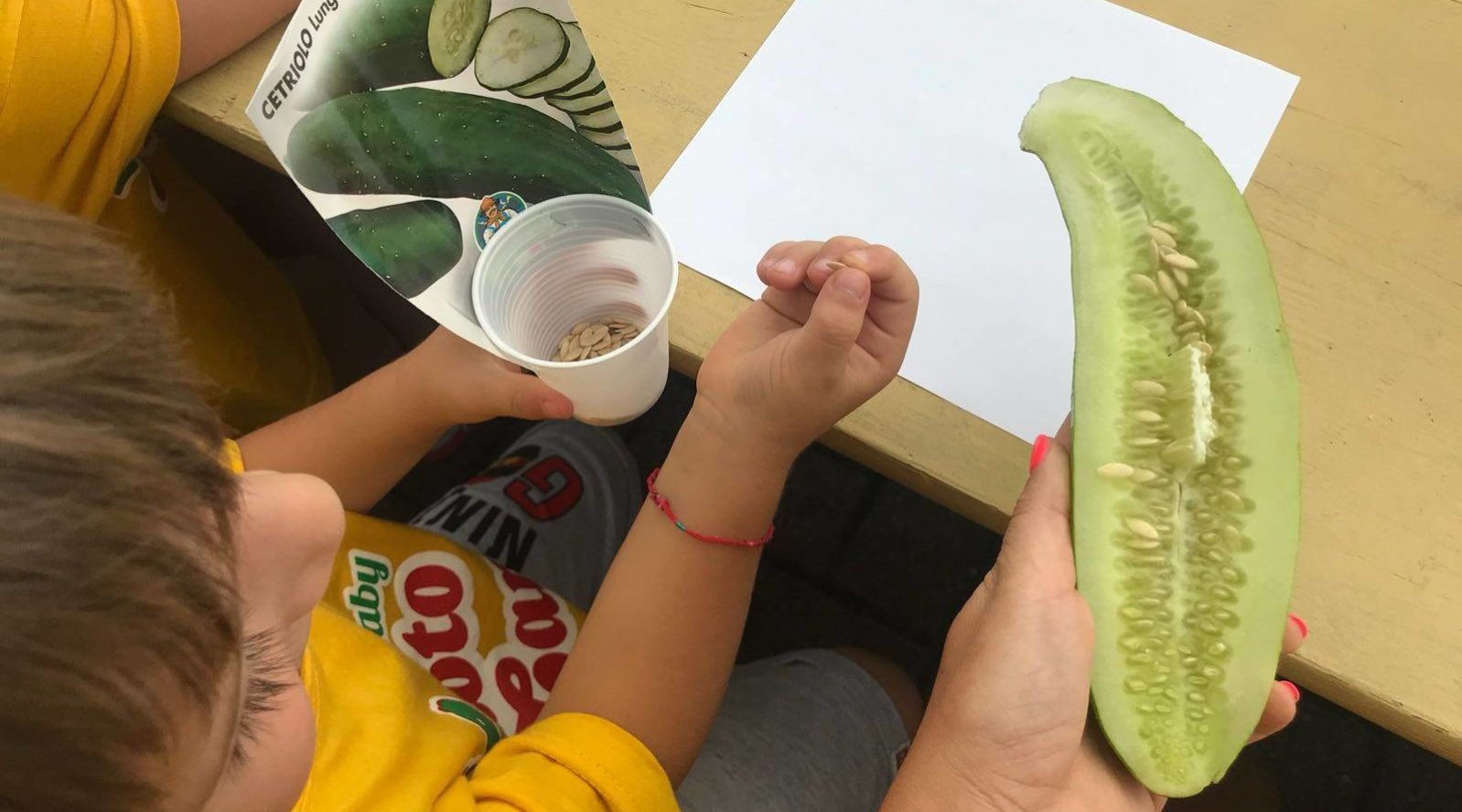 69896750_2378413702206084_7308167504486989824_o