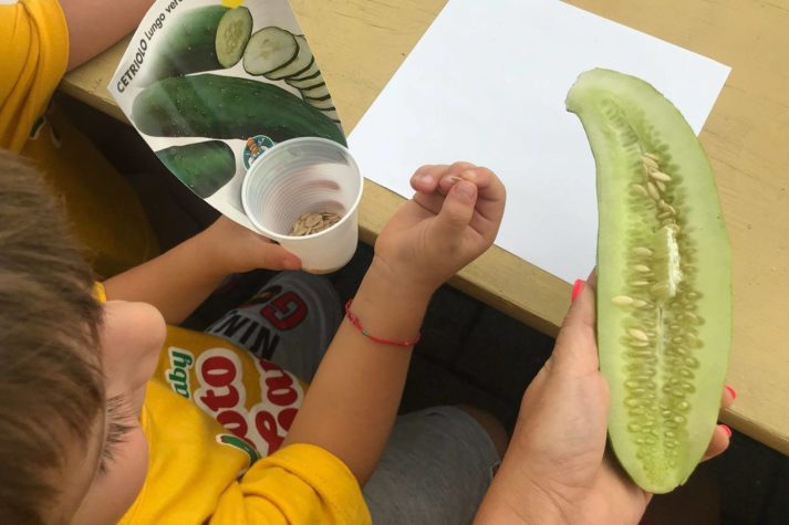 69896750_2378413702206084_7308167504486989824_o