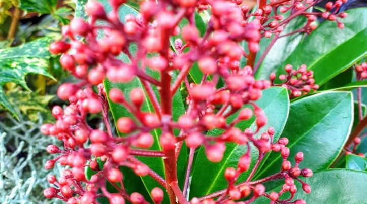 20191108_114130-EFFECTS