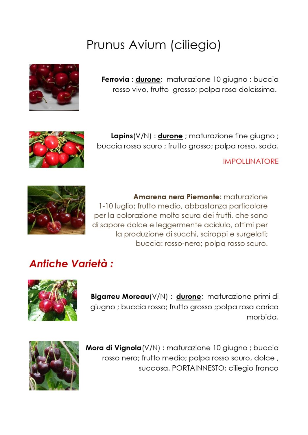 Ciliegi, varietà speciali in vendita