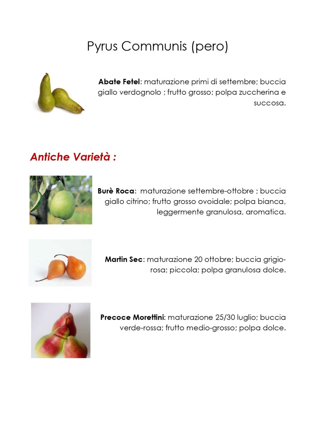 Peri, varietà speciali in vendita