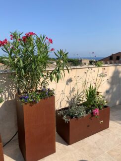 Terrazzo a Genova - Restyling del verde