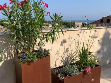 Terrazzo a Genova - Restyling del verde