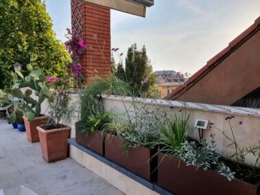 Terrazzo a Genova - Restyling del verde