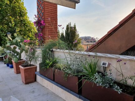 Terrazzo a Genova - Restyling del verde