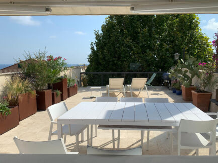 Terrazzo a Genova - Restyling del verde