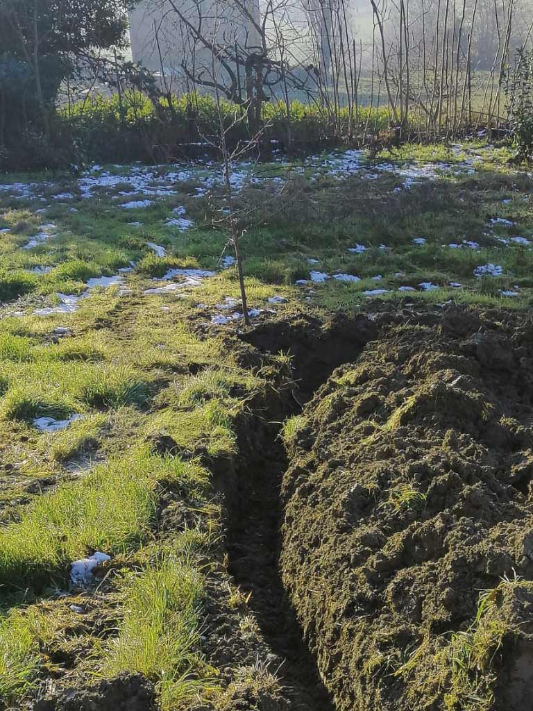 Come realizzare l'impianto di irrigazione a goccia per vasi, giardino,  frutteto