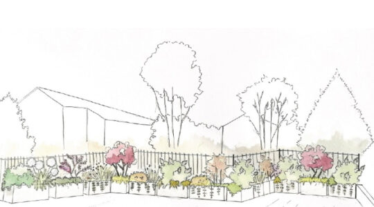 come-creare-una-siepe-mista-progettazione-giardini
