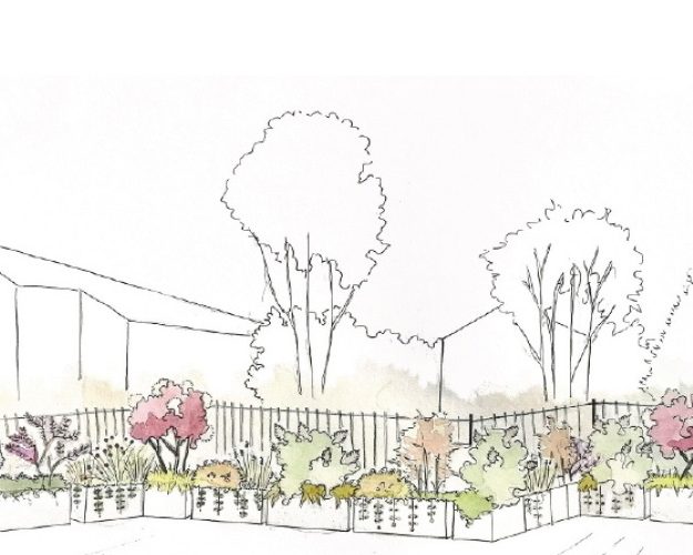 come-creare-una-siepe-mista-progettazione-giardini