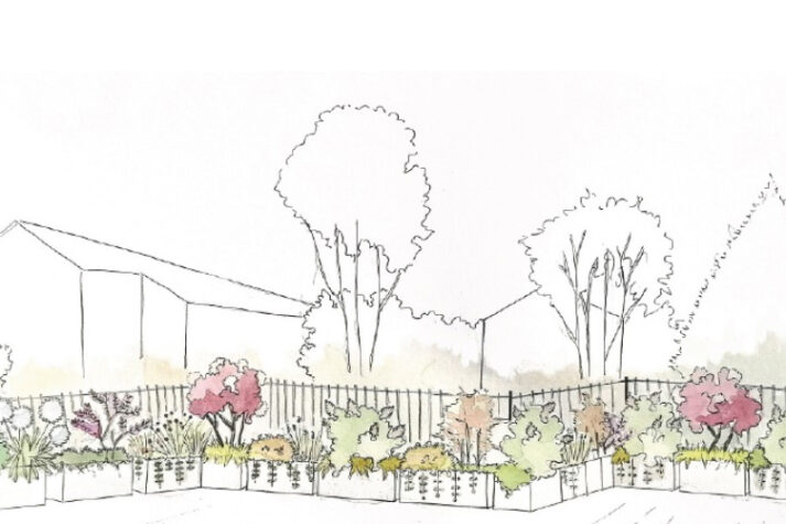 come-creare-una-siepe-mista-progettazione-giardini