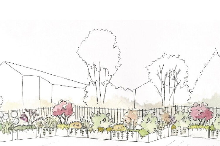 come-creare-una-siepe-mista-progettazione-giardini