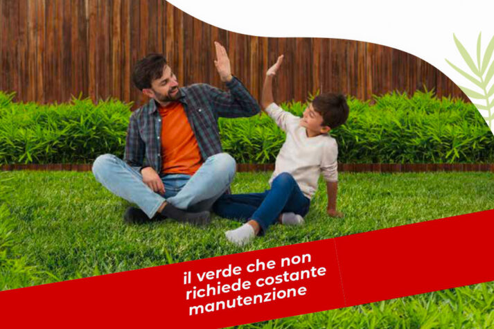 bambu-nano-vendita-online-vivaio-erba-vera-bassa-manuntenzione-erba-tappezzante