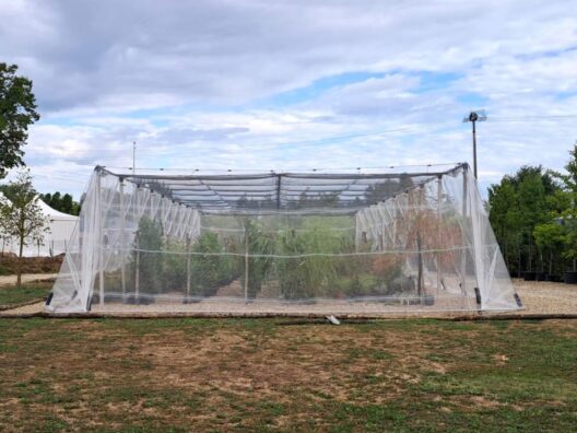 struttura e reti del vivaio verde-commerce per prevenire la popilla japonica