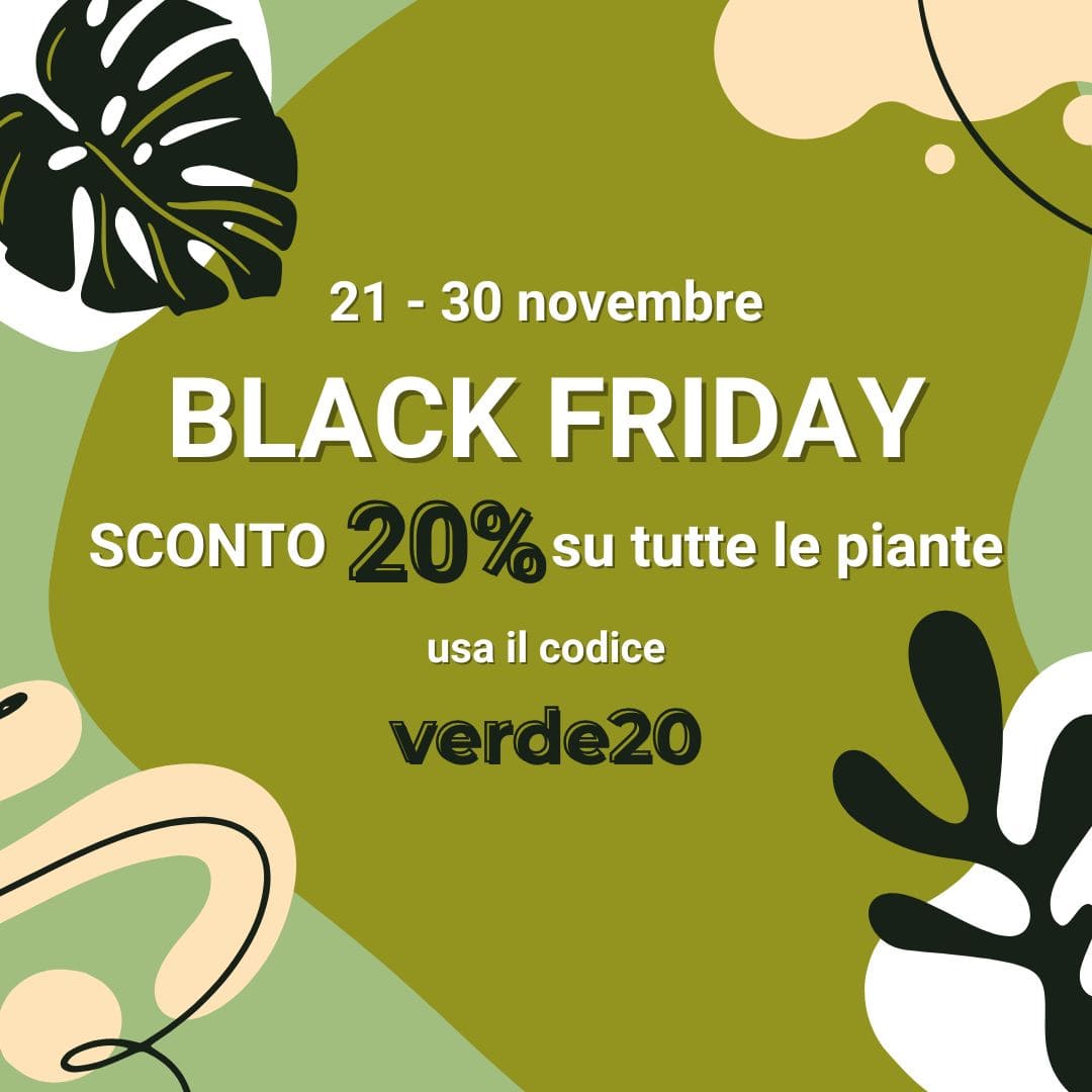 Vendita piante online - Sconti e offerte