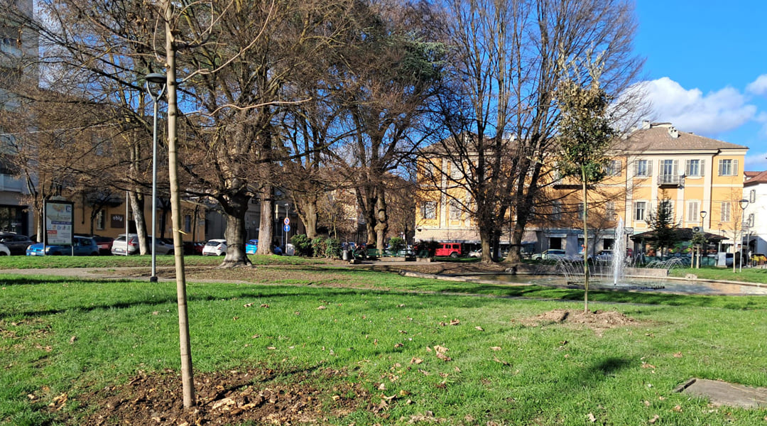 cantiere-casale-monferrato-piantumazione-nuove-alberature