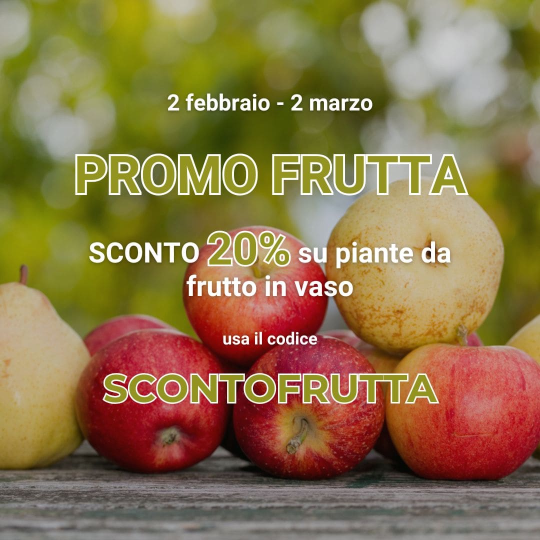 Vendita piante online - Sconti e offerte