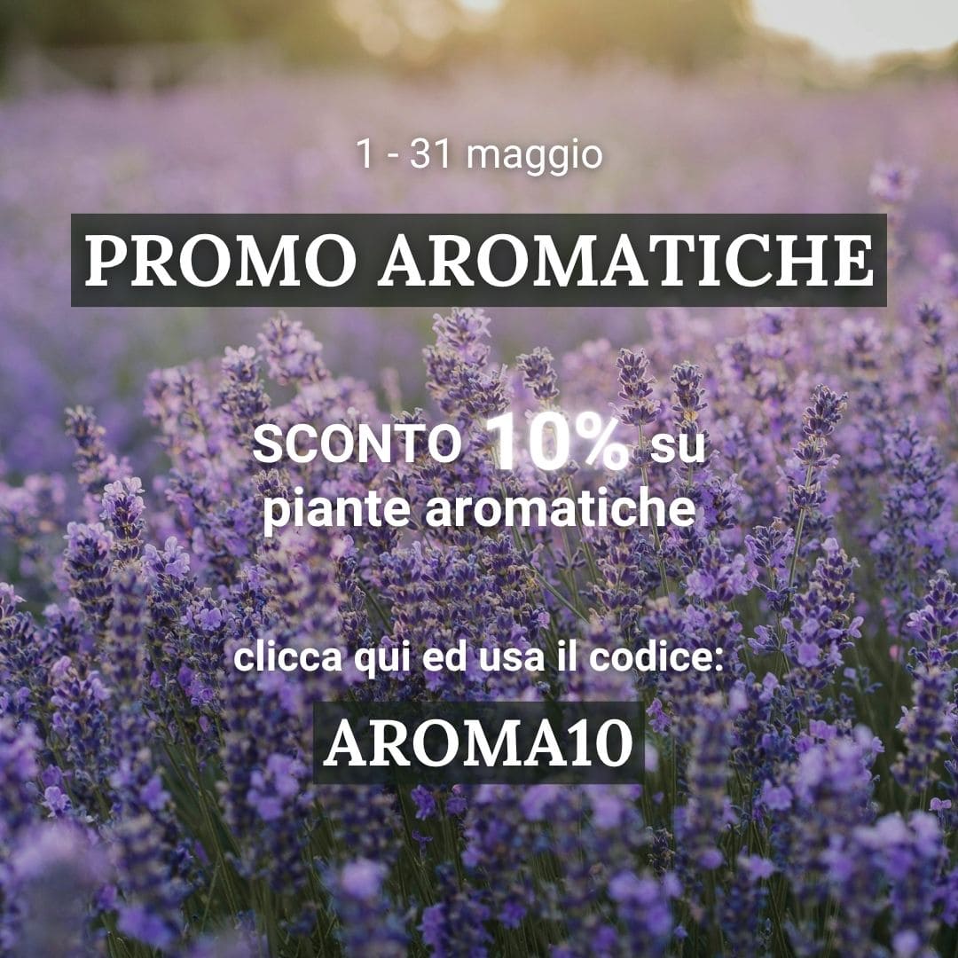 Vendita piante online - Sconti e offerte